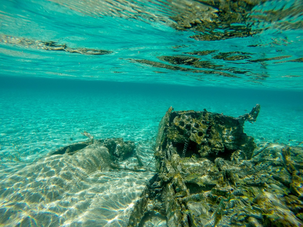 Underwater Airplane Wreck Undersea  - richardrohl2 / Pixabay